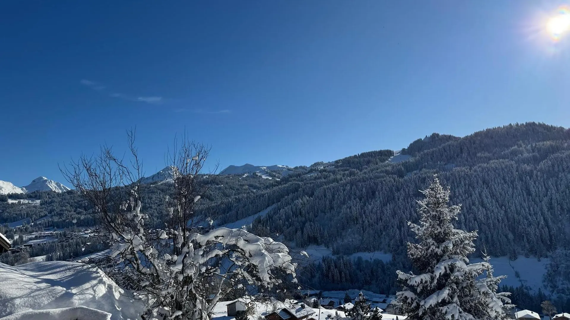 Chalet Cosy Les Gets Vue Montagne contacts
